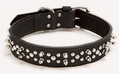 Coastalpet Circle T Double Spiked Leather Collar (26