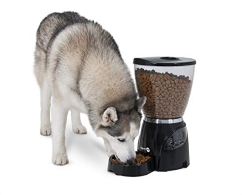 Aspen Pet Lebistro Programmable Food Dispenser