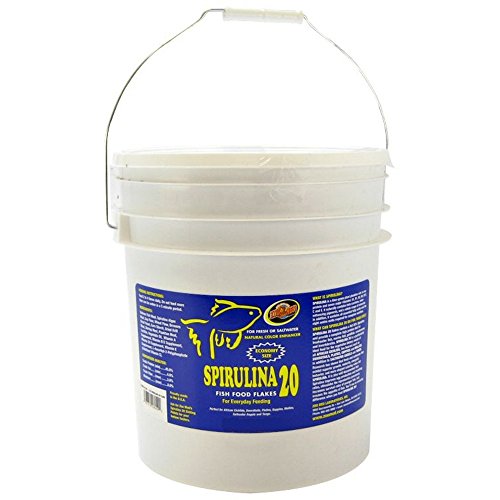 Zoo Med AF-S100 Spirulina Fish Food Flakes 4.5kg