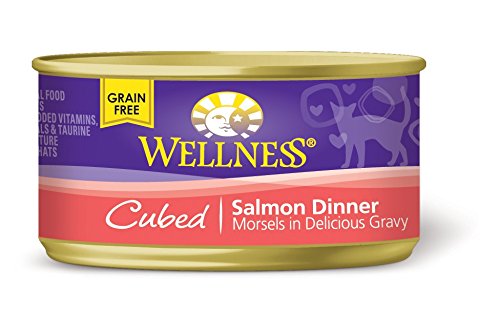Wellness 2665 Cubed Salmon Dinner Canned Cat Food 24/3 Oz