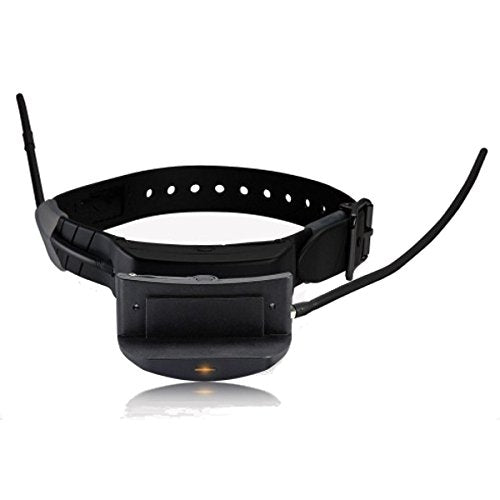 Petsafe TEK-T SportDOG 1.0 E-Collar Module