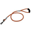 Coastalpet Harley-Davidson Corde réfléchie en laisse orange 4 pi