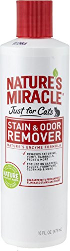 Nature's Miracle Just for Cats Stain & Odor Remover, 32-Ounce Pour Bottle (HG-5158)