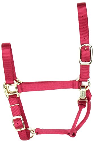 COASTALPET ACCING DELUXE LOCKER AVEC EQI-SNAP ET ALIMENTS DE CHIN 3/4 pouces (rouge)