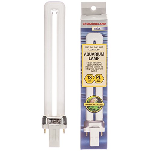 Marineland AA7152 Eclipse Replacement Fluorescent Compact 12 Lamp 13 Watt