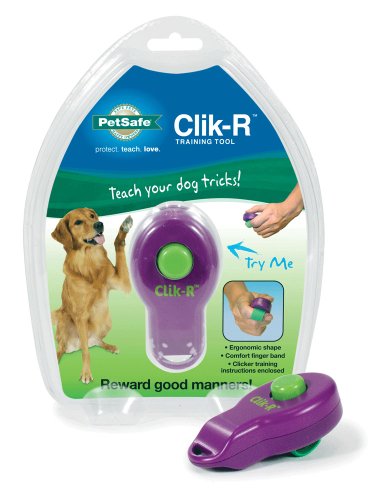 PetSafe Clik-R Trainer