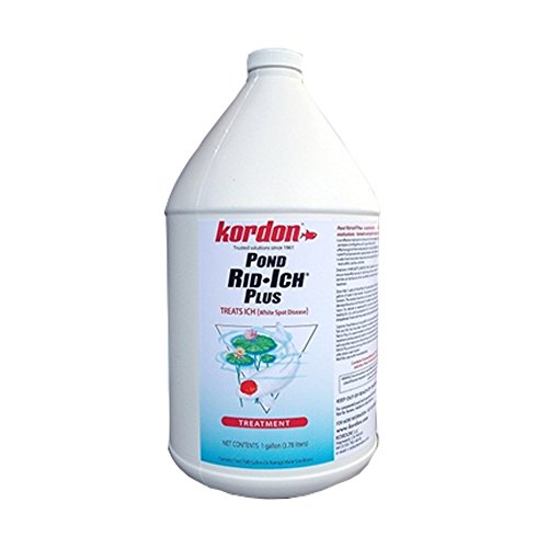 Kordon AA8132 Pond Rid-ich plus conditionneur d'eau 1 gallon