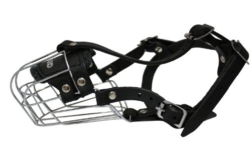 Wire Cage & Leather Muzzle (Miami). Size 4, Black. 10