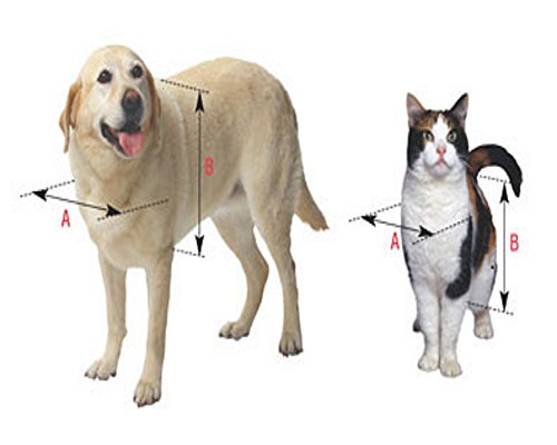 All Wether Series Pet Door REPL VELL SUPER Large