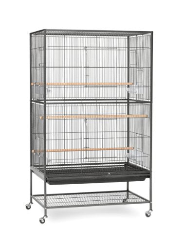 Prévue Hendryx F040 Produits pour animaux de compagnie Cage de vol en fer forgé avec cage d'oiseau noir stand, 31 