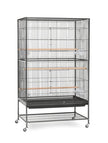 Prévue Hendryx F040 Produits pour animaux de compagnie Cage de vol en fer forgé avec cage d'oiseau noir stand, 31 