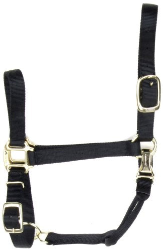 Coastalpet Accent 1-Inch Deluxe Halter with Equi-Snap & Chin Adjustment