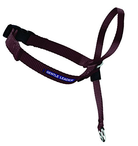 Radio Systems PRP-GLQHCSBR Gentle Leader Quick Release Headcollar, Small, Brown