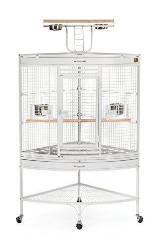 Cage de perroquet de coin pour animaux de compagnie (noir, 45 "LX30" DX69 ")
