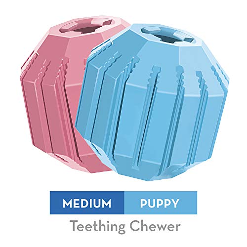 Kong Puppy Activity Ballâ - Rubber doux, Treat Dispensing Dog Toy pour les chiots de dentition - pour les chiots moyens (couleurs assorties)
