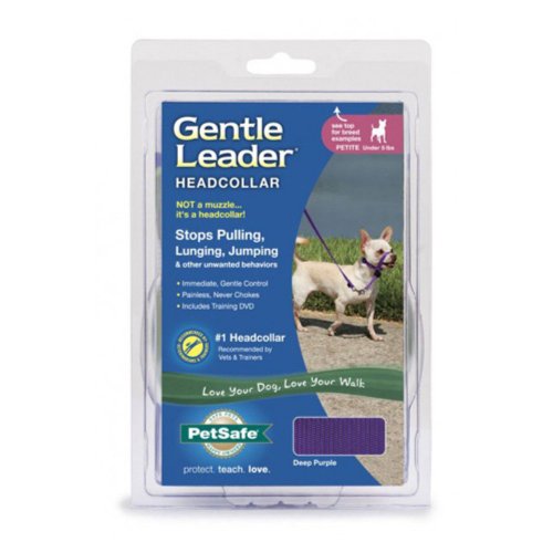 Gentle Leader Headcar Release rapide Grand os SQ / BLK (GL-Q-HC-L-BSQ)