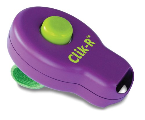 PetSafe Clik-R Trainer