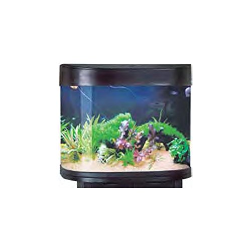 Kit d'aquarium arqué aa6611 aa6611 en noir (26 gallons)