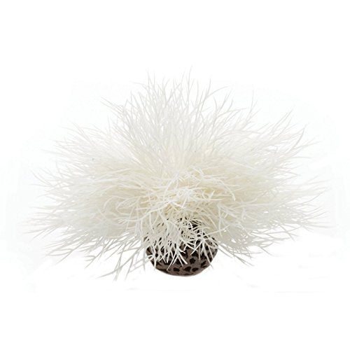 Reefone Biorb Sea Lily pour aquarium