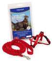 Premier Come With Me Kitty Harness & Bungee Leash Medium Black