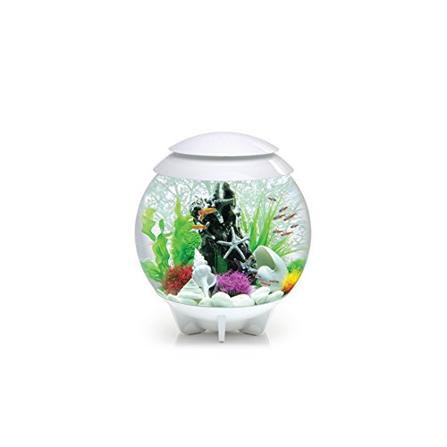 Reef One biOrb Halo with Moonlight LED