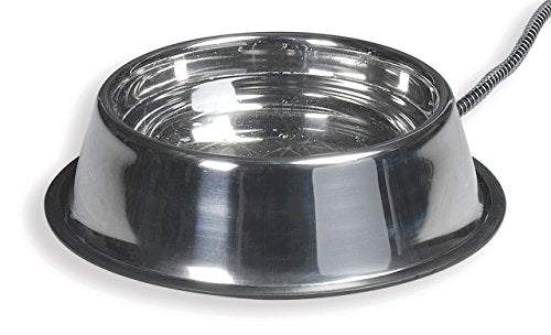 Bowl de compagnie chauffé en acier inoxydable allié 5QT