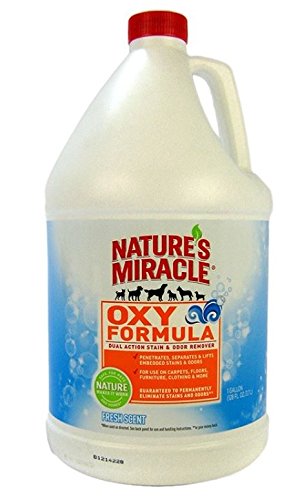 Nature's Miracle Oxy Stain & Odor Remover Fresh Scent (1 gallon)