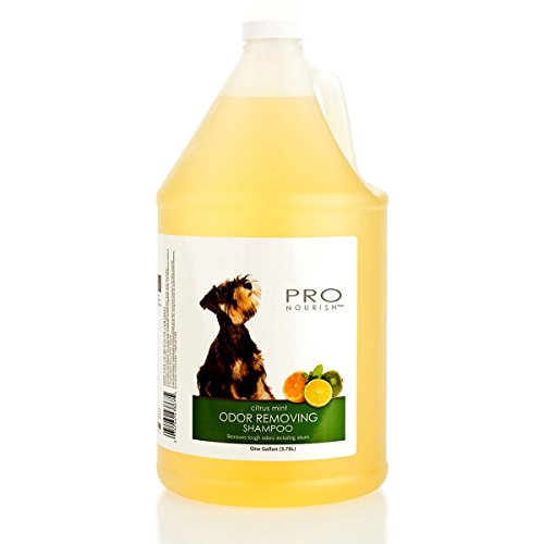 Oster Professional RO Nourish Odor Removing Shampoo - Citrus Mint Scent