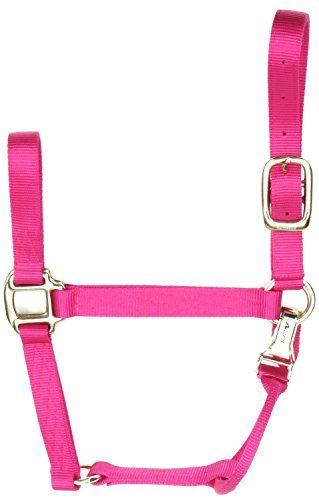 Halter de luxe de 1 pouce d'accent Coastalpet avec ajustement Equi-Snap et menton (flamant rose, yearling)