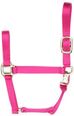 Halter de luxe de 1 pouce d'accent Coastalpet avec ajustement Equi-Snap et menton (flamant rose, yearling)