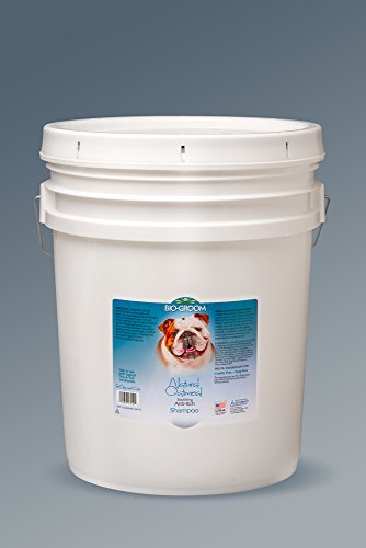 Bio-Groom 27051 Natural Oatmeal Shampoo 5 Gallon