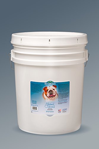 Bio-Groom 27051 Shampooing Oatmeal Natural 5 gallons