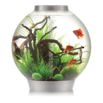 Reef One biOrb Aquarium