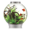 Reef One biOrb Aquarium