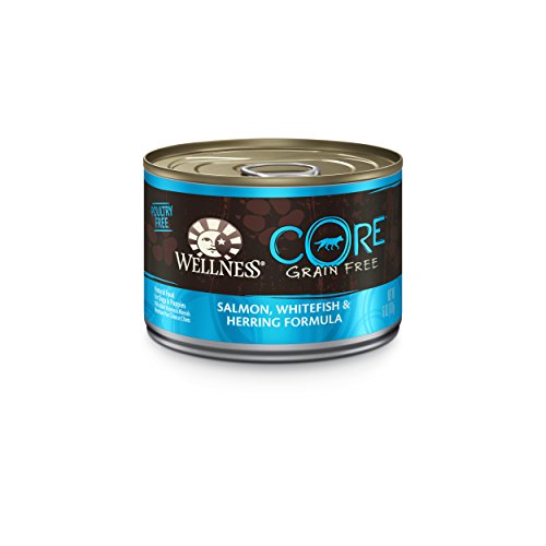 Wellness Natural Food for Pets Core Natural Grain Free Wet Canned Dog Food, Salmon, Whitefish and Herring Recipe, 6-Ounce (Pack of 24)