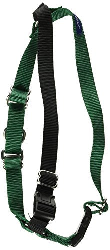 Systèmes radio PRP-WEWHHCM-GR Easy Walk Harness Clamhell 3/4 pouces Nylon, 20-28 pouces, moyenne, vert