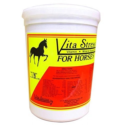 Vita Stress Vitamin and Mineral Supplement