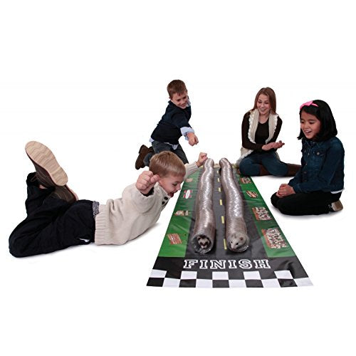 Marshall Pet HH5874 Cruising Critter Raceway Toy for Pets
