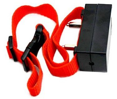 Judingcheng BT3 Collier d'écorce de chien