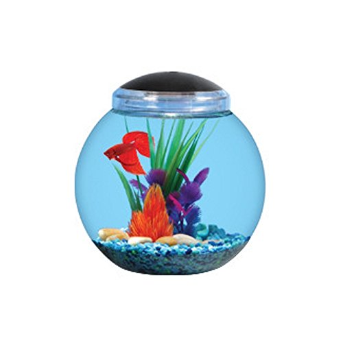 Koller Craft AA8804 API Betta LED Globe Bowl Aquarium Kit (2 gallons)