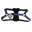 Coastalpet K9 Explorer Reflective Adjustable Padded Harness