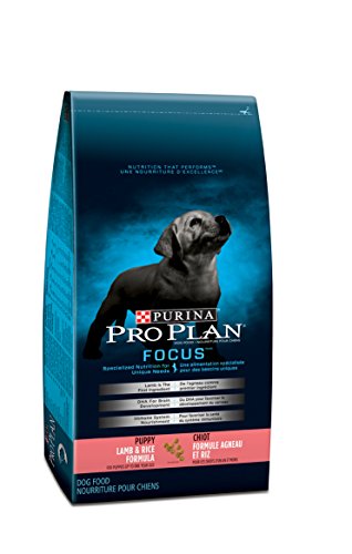 Purina Proplan Focus Lamb & Rice Formula Puppy Food 15,4 kg