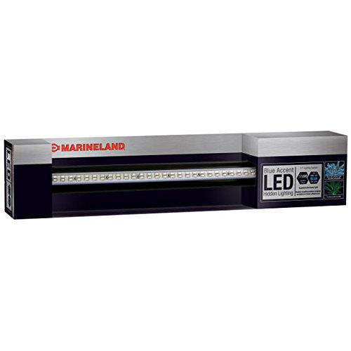 Marineland Hidden LED System Accent 17 (bleu)