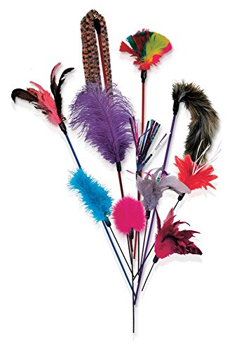Lazy Pet PW-GFT Gaint Kitty Feather Tickler