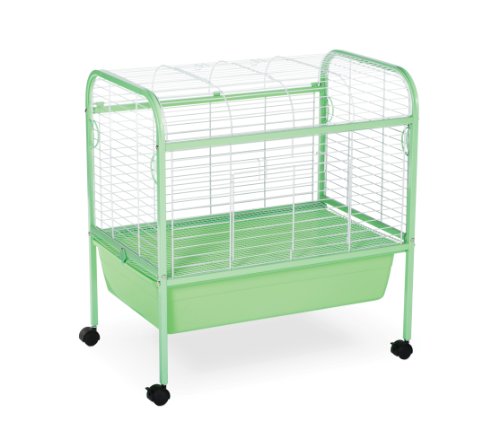 Produits pour animaux de compagnie PRODUCT