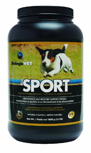 BiologicVet 1600 gm Biosport - Formule de performance et de récupération - pour chiens, 1600 g (3,5 livres) poudre de poudre d'une journée pour 60 livres