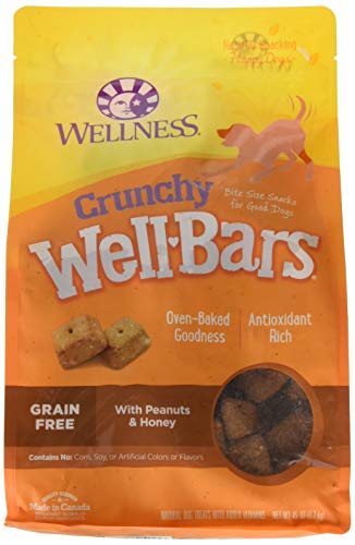 Wellness WellBar Fruit & Yogurt Dog Treats (6x20 oz)