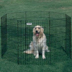 Prc Pen Exercise Ult Bk 48in