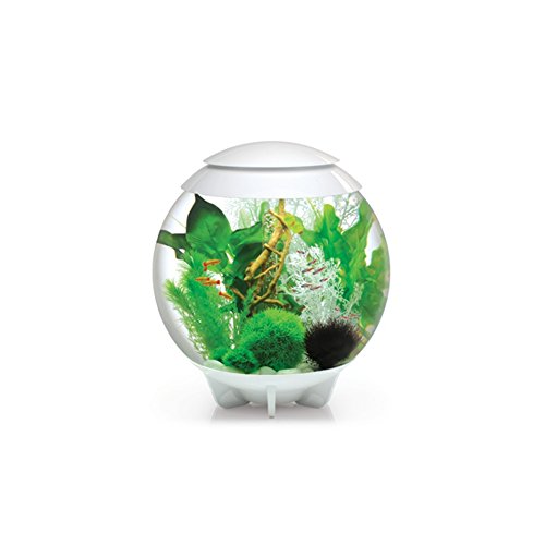 Reef One biOrb Halo with Moonlight LED