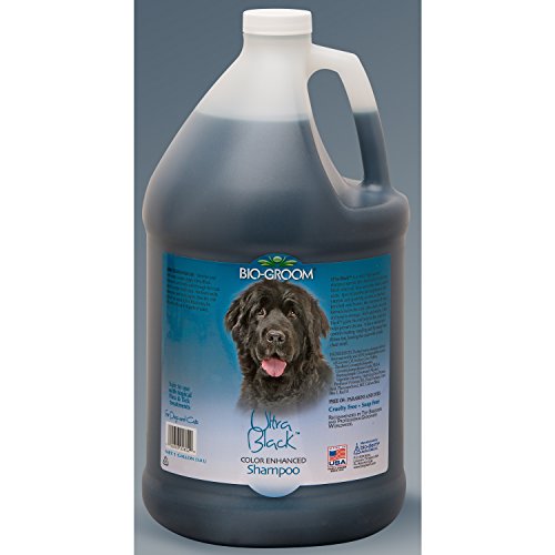 Bio Groom DD7315 Ultra Black Color Enhanced Shampoo 1 Gallon